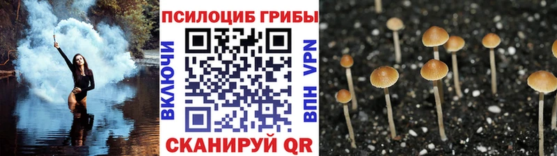 Псилоцибиновые грибы GOLDEN TEACHER Новый Оскол
