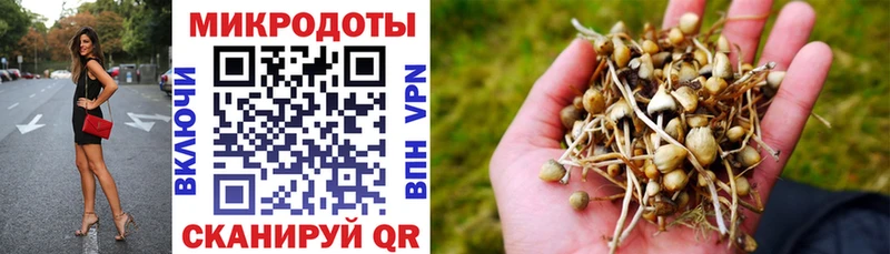 Купить где  Новый Оскол  Псилоцибиновые грибы MAGIC MUSHROOMS 